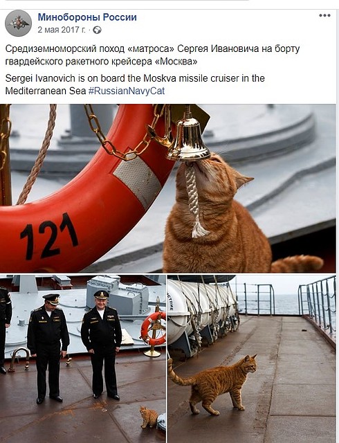 Сергей Иванович - звезда Фото: Минобороны РФ