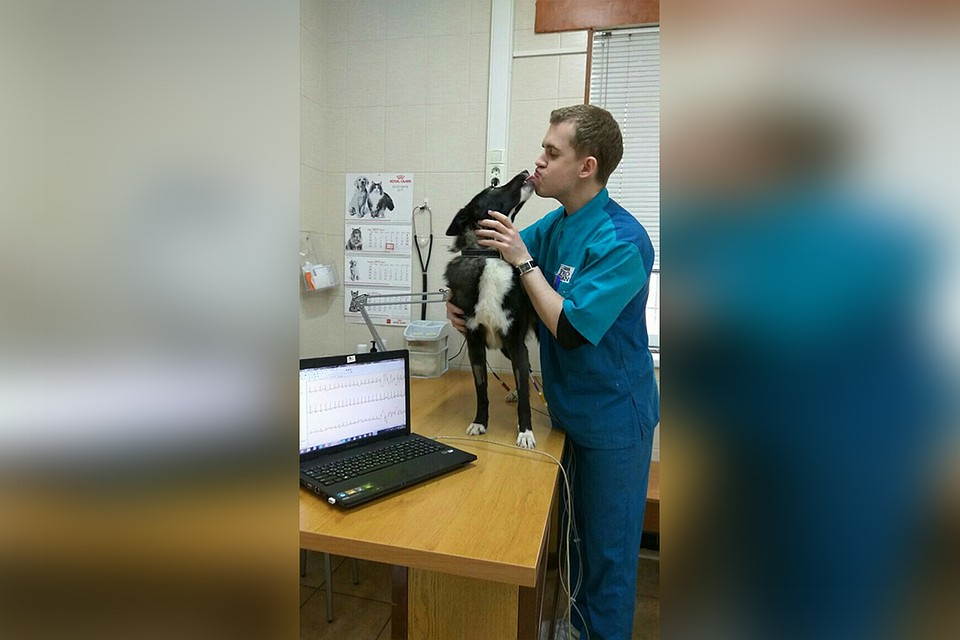В клинике есть и постоянные клиенты, которые от счастья со всех лап, ласт и крыльев спешат к своим любимым врачам. Фото: vk.com/ver.drug