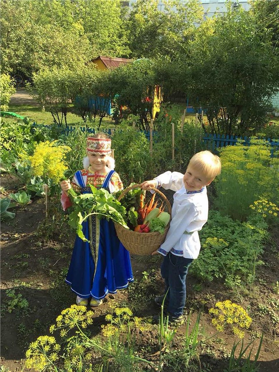 Не каждый дачник сможет собрать такой урожай Фото: пресс-служба администрации Красноярска
