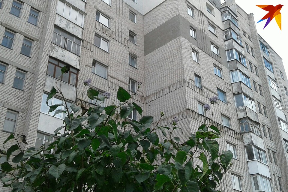 Кисти сирени меньше, чем обычно, но пахнут так же! Фото: Наталья ПАРТОЛИНА