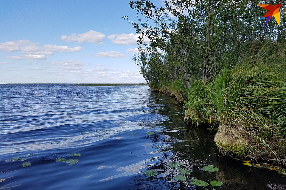 Озеро Ельня самое большое озеро заказника. Фото: Артём БАЗАРОВ