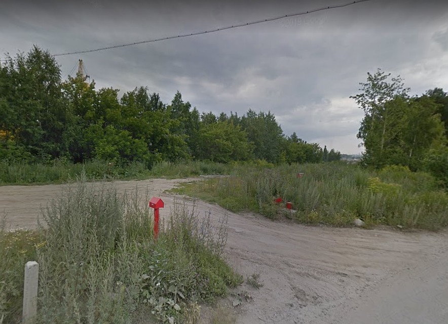 В этом лесу нашли труп пенсионерки. Фото: Google maps