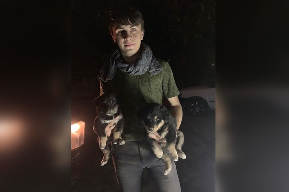 Сейчас Евгений ищет для щенков новую любящую семью. Фото: Евгений Кочкин