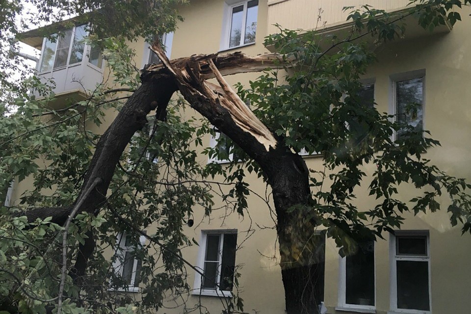 Фото: «ЧП Омск», vk.com