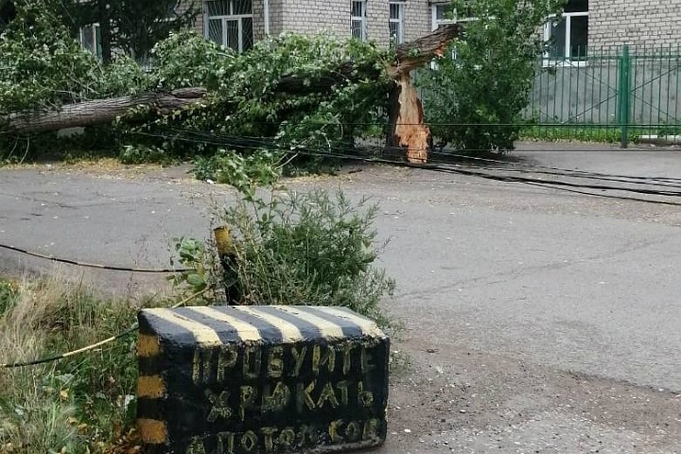 Фото: «Инцидент Омск», vk.com