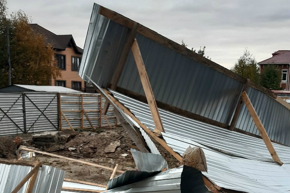 Фото: «Омск Live», vk.com