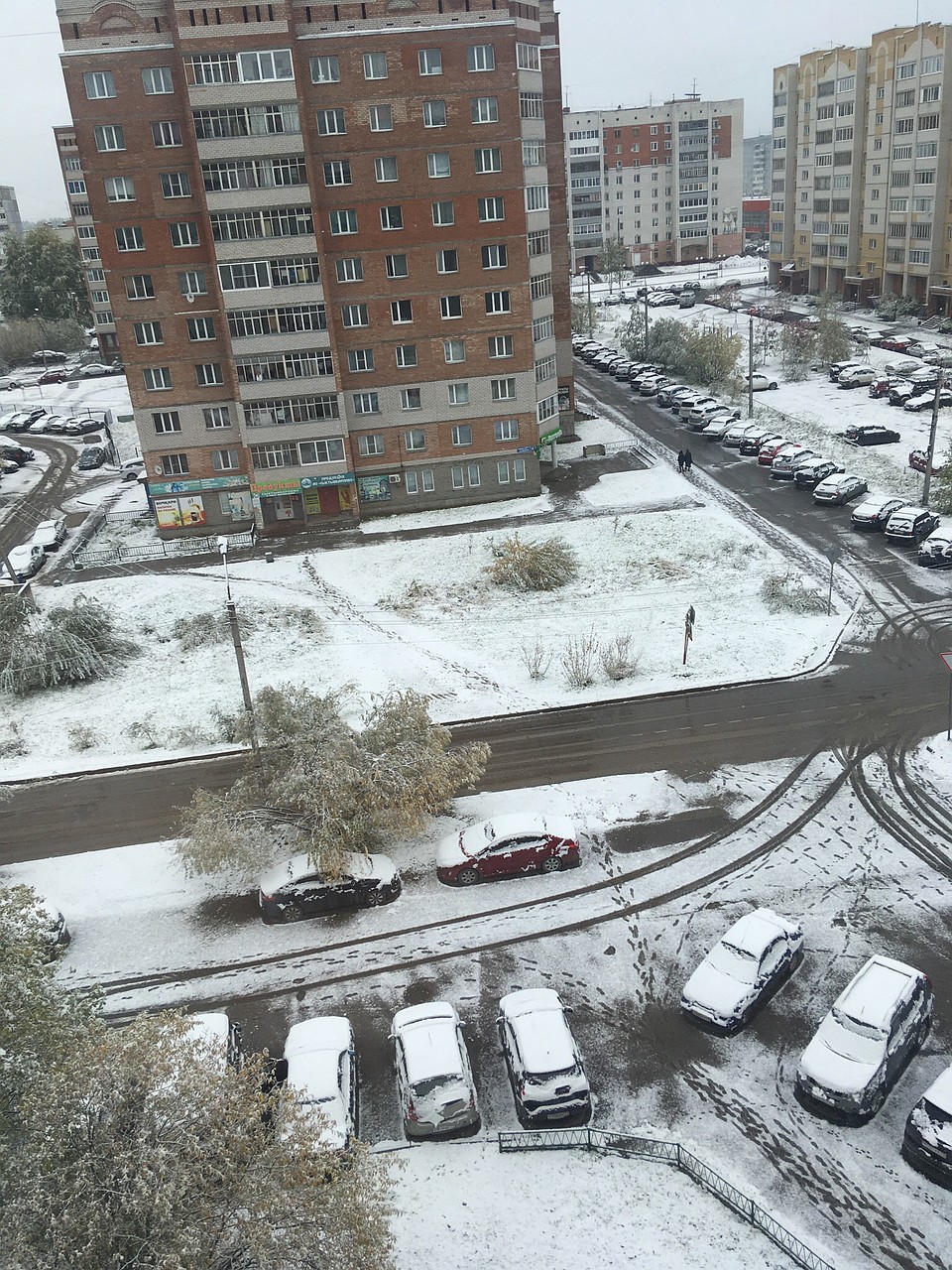 Горожане делятся фотографиями в социальных сетях Фото: соцсети