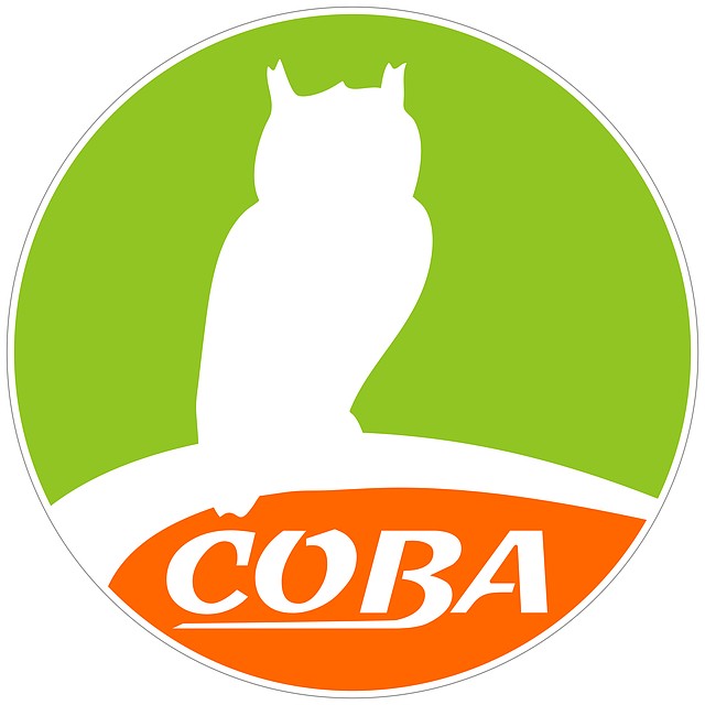 Агентство недвижимости "СОВА"
