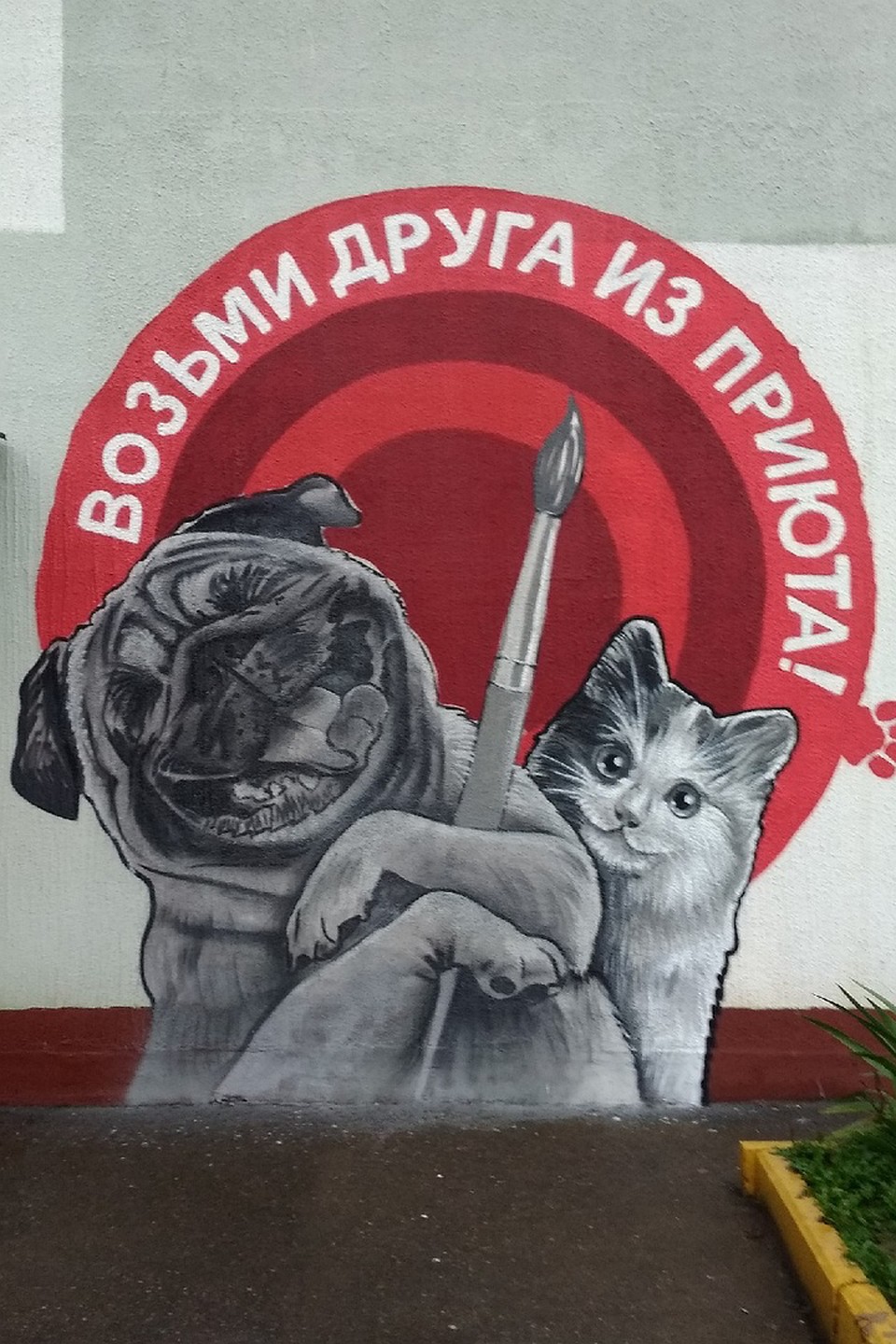 Стрит-арт команда расписала стену приюта бесплатно, в рамках своих социальных проектов. Фото: предоставлено администрацией приюта.