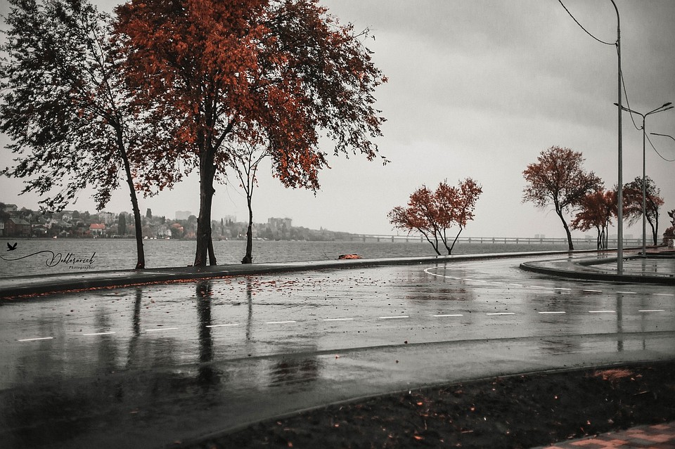 Фото: Никита Докторович.