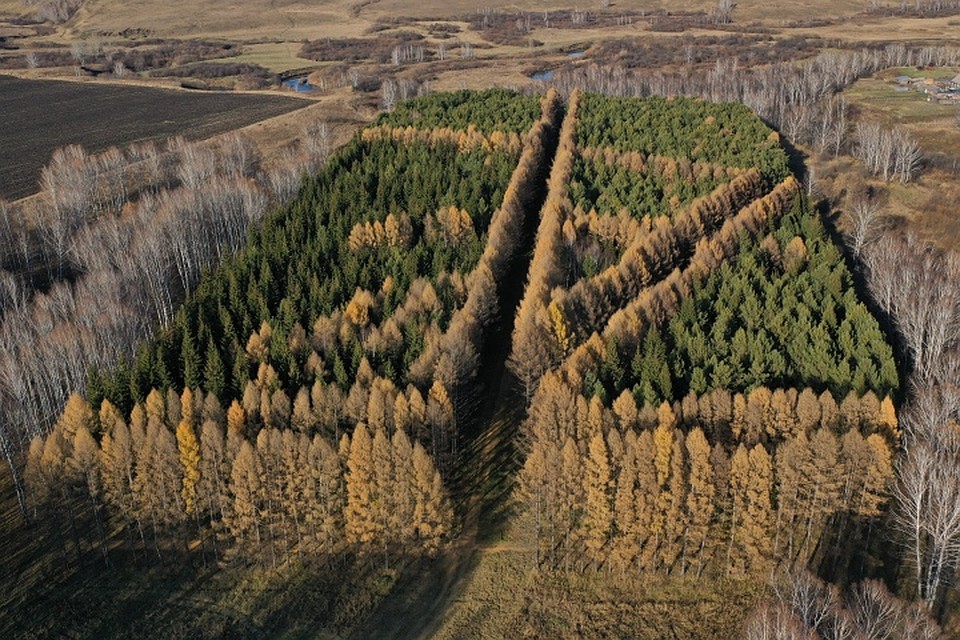 Парк имени Леонова. ФОТО: пресс-служба АКО.