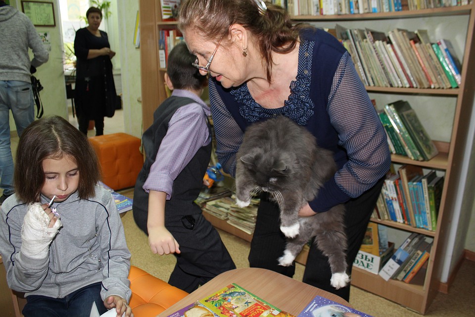 Кошка теперь живет среди книг и детского внимания. Фото: Ксения ПОЛТОРАНИНА