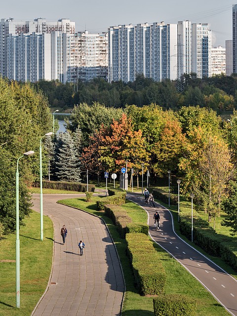 Источник фото:https://domashny-rayon.ru/