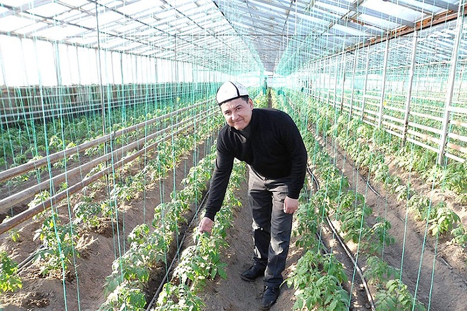 Но дальнее расстояние при желании можно преодолеть объемами производства.