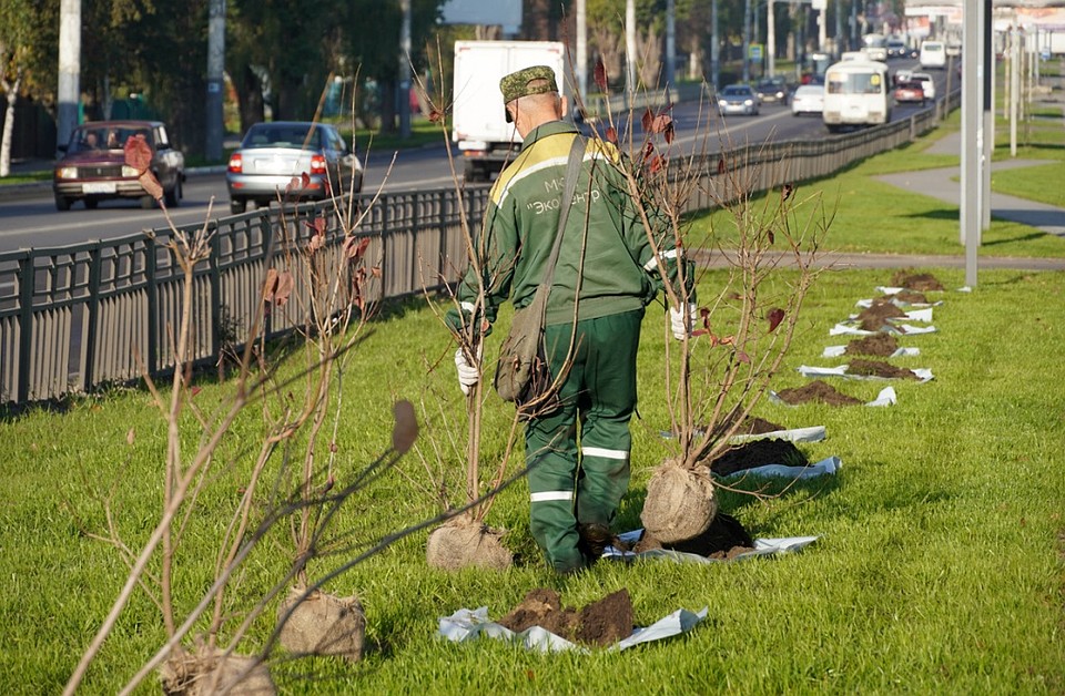 Фото: предоставлено пресс-службой администрации города Воронежа.