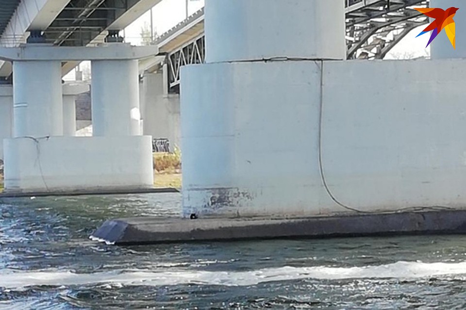 Котенок сидел под опорой моста, никто не знает, как он туда попал - кругом вода. Фото: "Доброта".