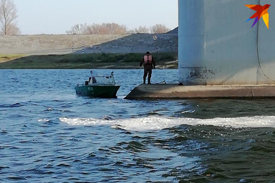 Спасатели приплыли на катере, чтобы вызволить маленького котенка. Фото: "Доброта".