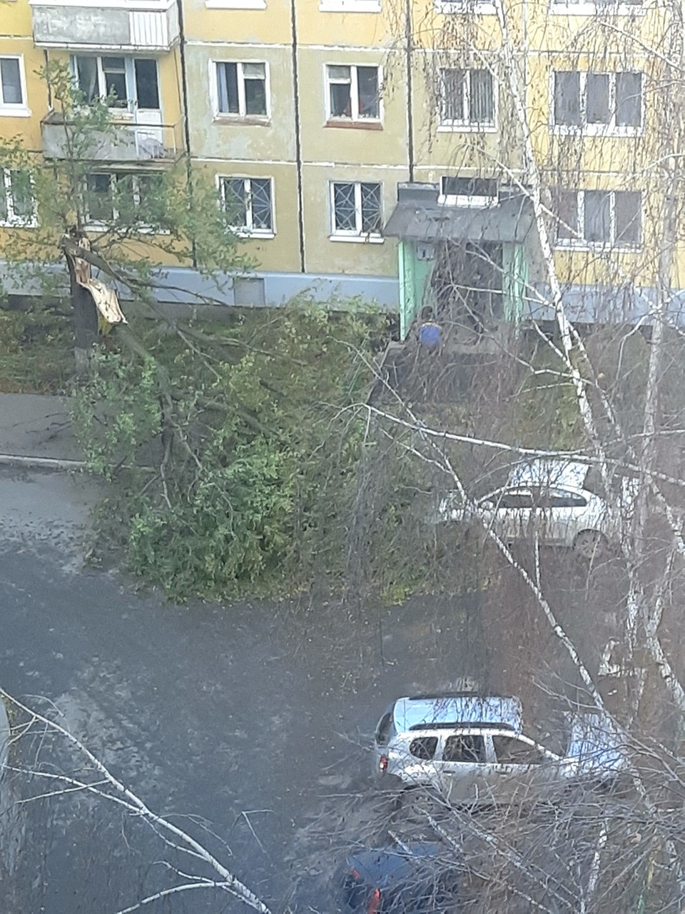 Фото: Константин Пермяков