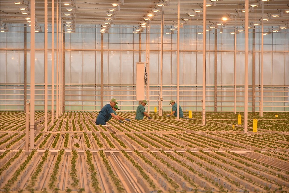 Фото: портал органов власти Чувашии