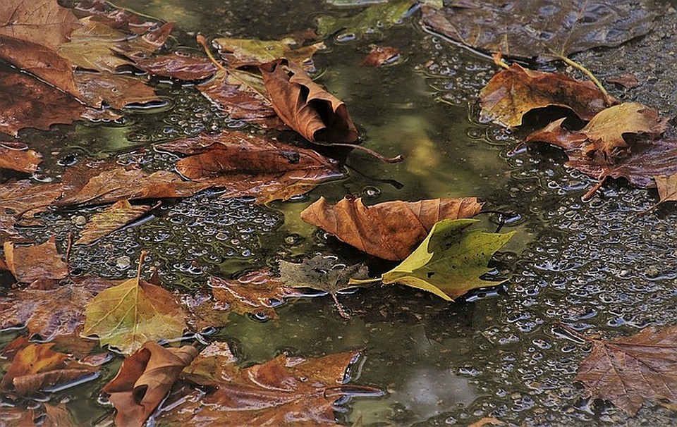 Фото: pixabay.com