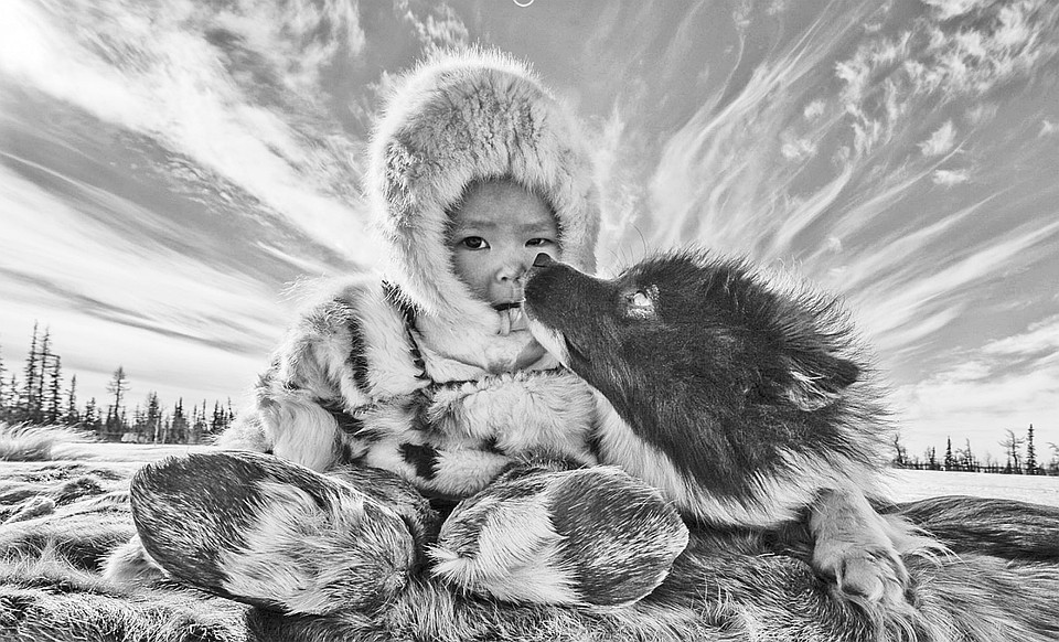 Фото: Дмитрий Архипов. «Лучшие друзья». Победитель в номинации «Приз зрительских симпатий», 2016 год.