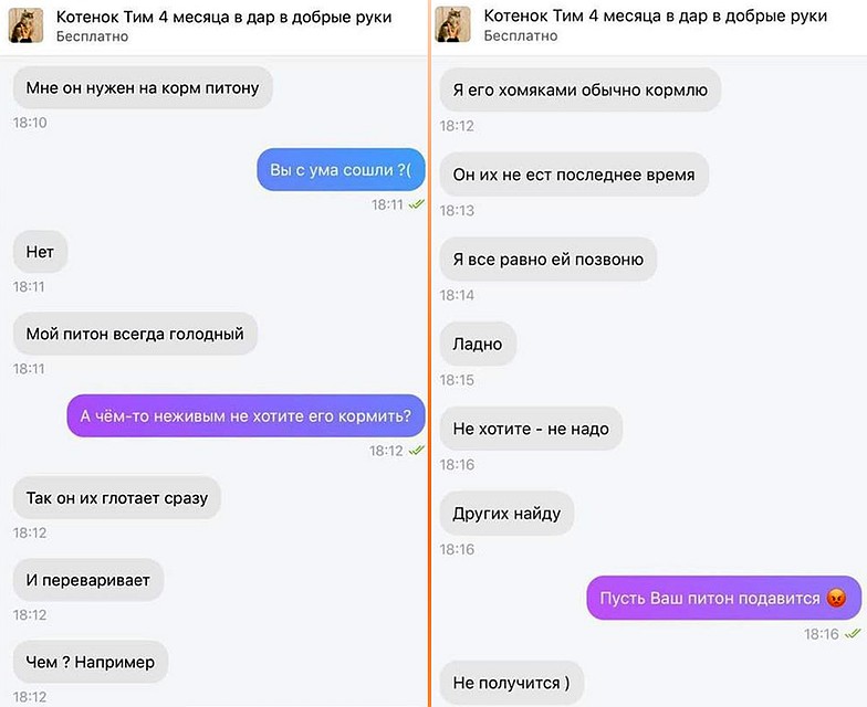 Фрагмент переписки с Семеном.