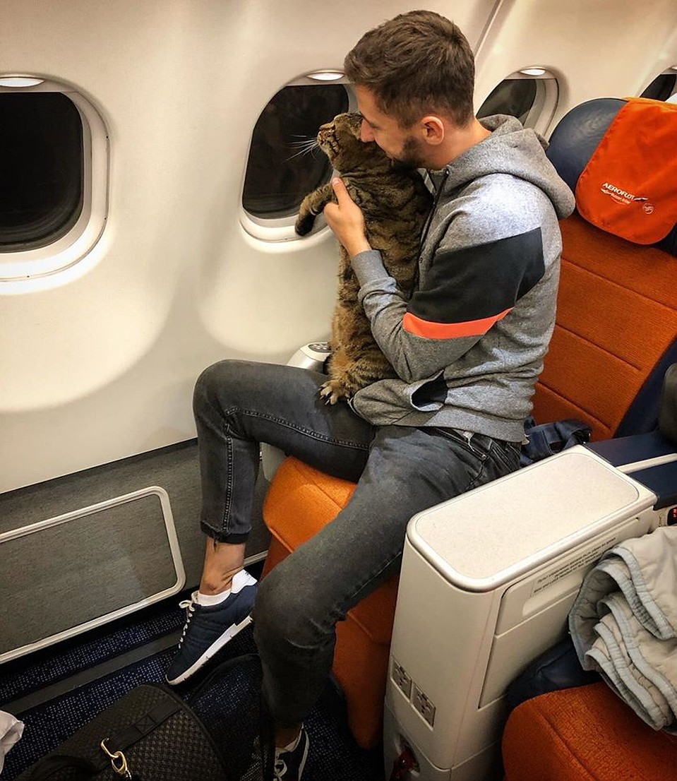 Операция по подмене кота прошла успешно. Фото: страница Михаила Галина на Facebook.