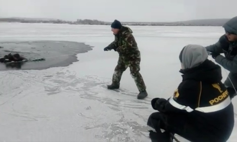 Фото спасательной операции.