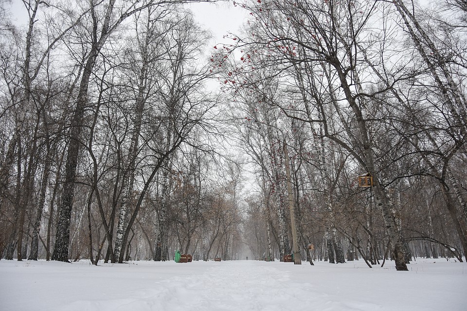 Только посмотрите на эту зимнюю красоту. Фото: Алена МАРТЫНОВА