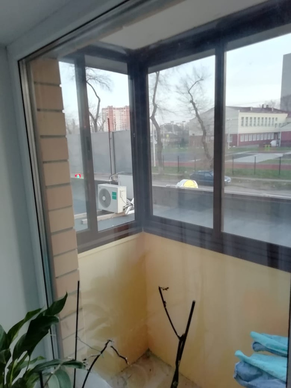 фото нашего читателя