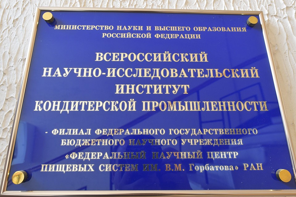 . Фото: Владимир ВЕЛЕНГУРИН