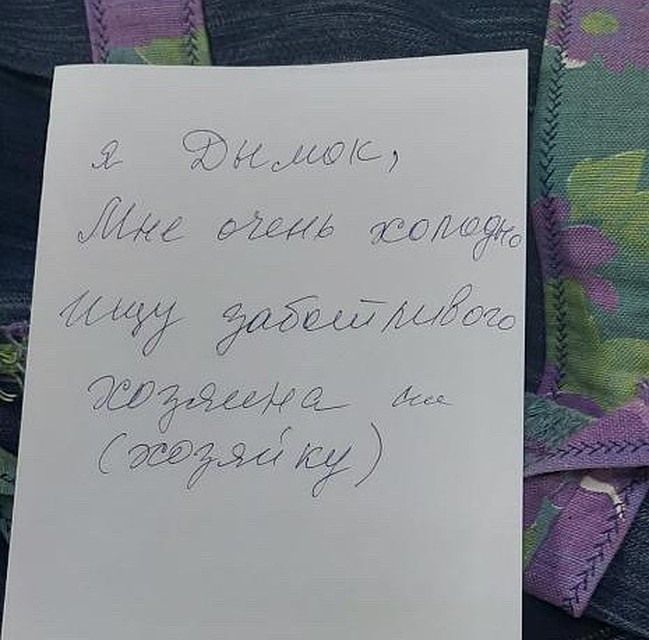 Такую записку положили в переноску к котику. Фото: Баграт Агажанов.