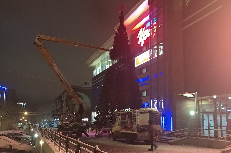 Фото: Дарья Порсева