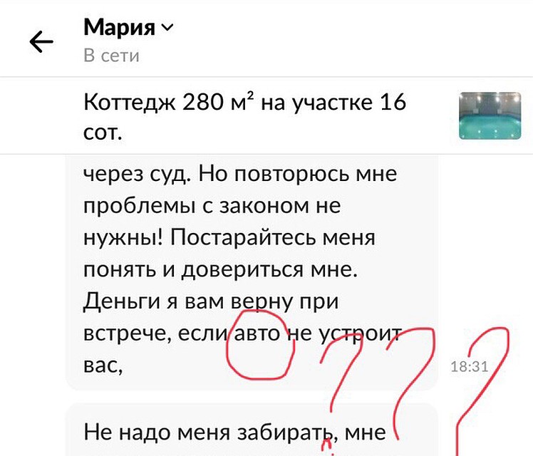 Скрин переписки с автором объявления.