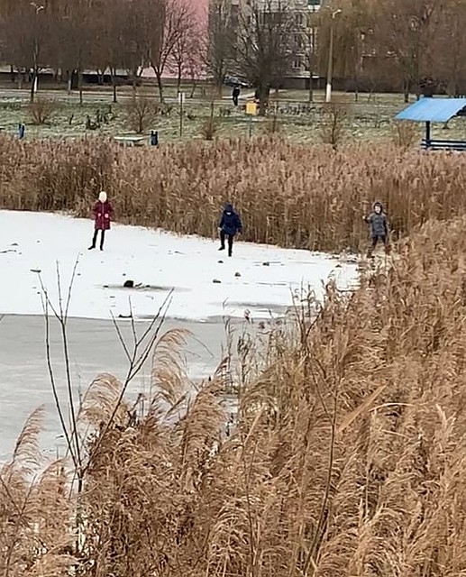 Дети гуляли возле льда и в какой-то момент провалились в воду. Фото: Егор ВАЩИЛКО