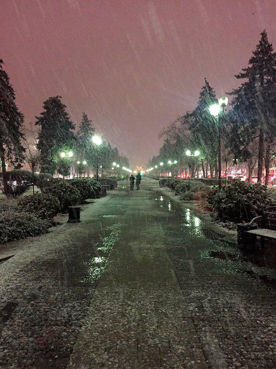Первый снег в Краснодаре. Фото: Типичный Краснодар