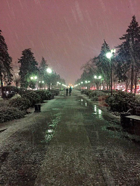 Первый снег в Краснодаре. Фото: Типичный Краснодар