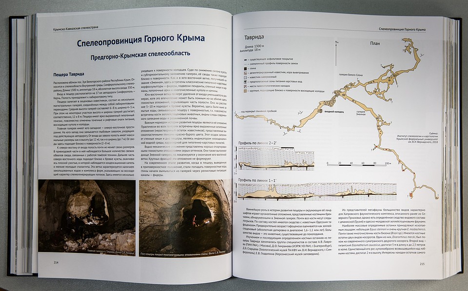 Фото: пресс-служба КФУ