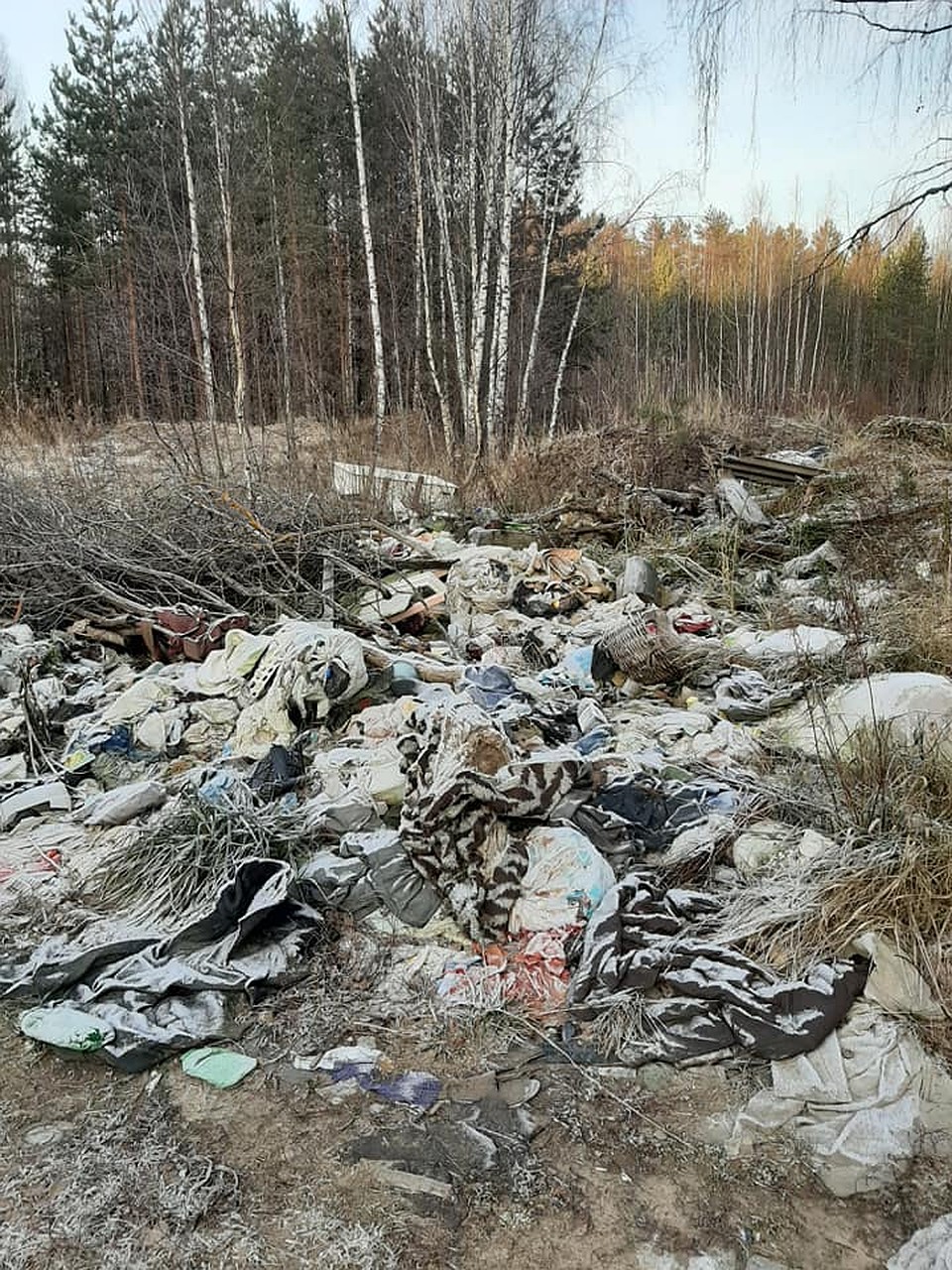 Фото: Лариса Николаева/facebook.com