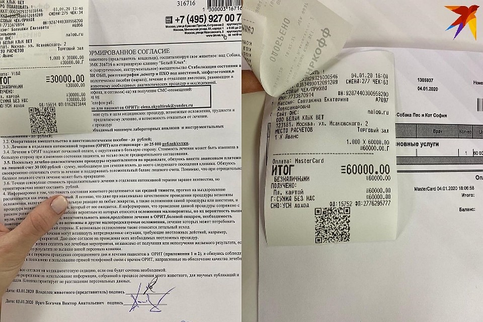 Счета за лечение Софи