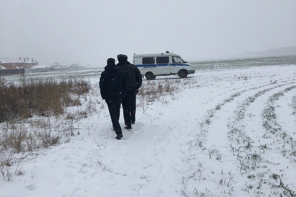 Фото: Служба по контролю за безнадзорными животными.