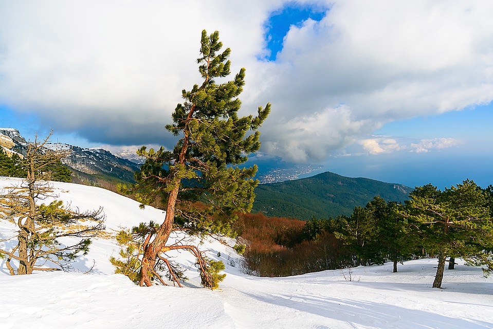Крым прекрасен и летом и зимой Фото: Shutterstock