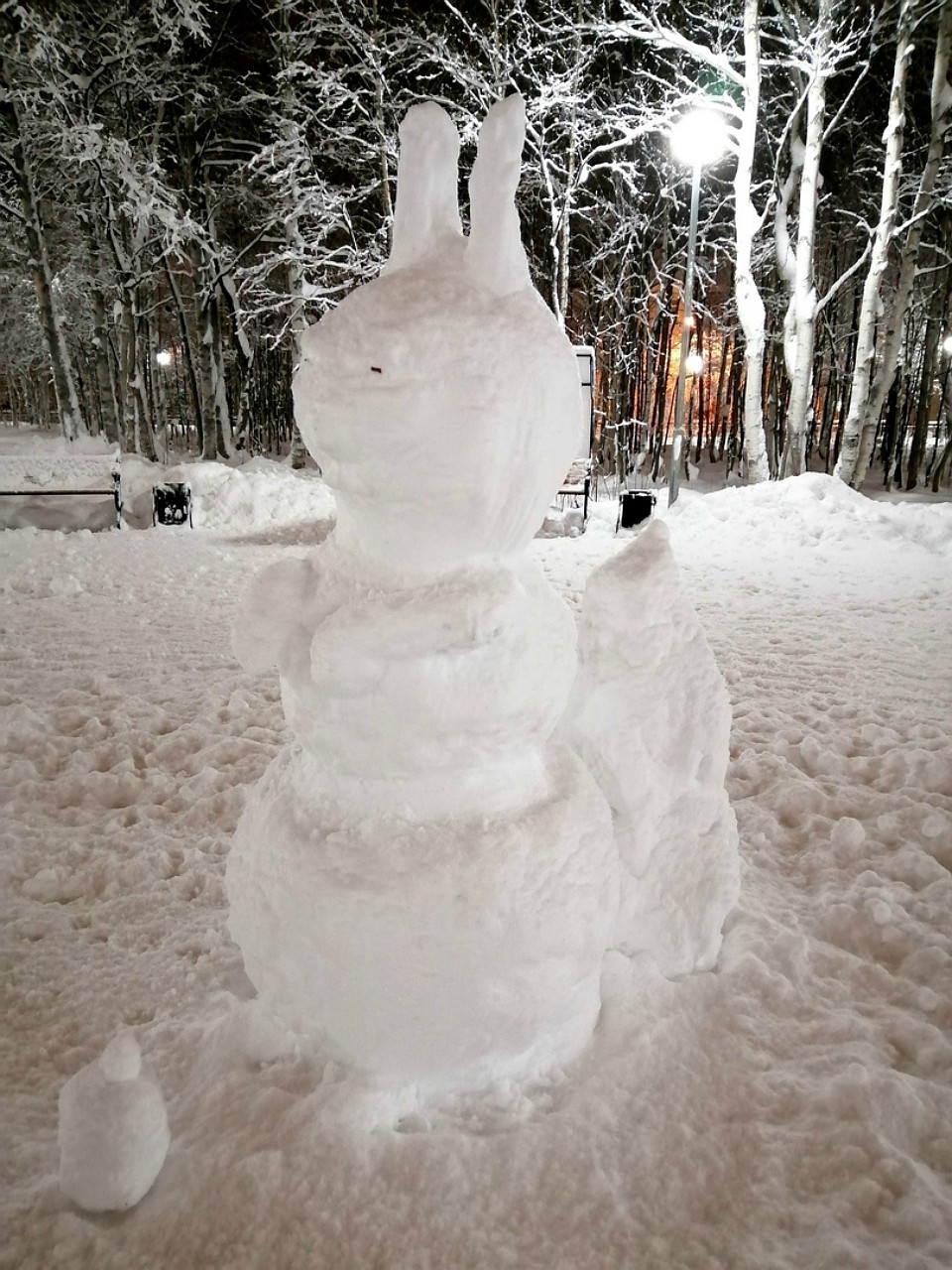 Большая снежная белка нашла местечко в городском парке. Фото: vk.com/narodnoetvx