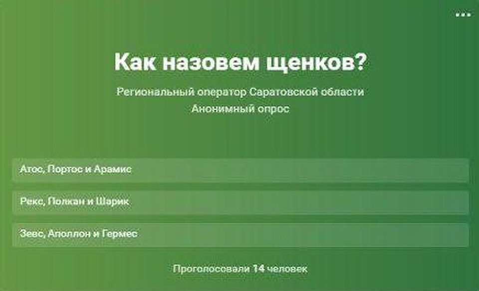 Саратовцам предлагают подобрать имена для щенков