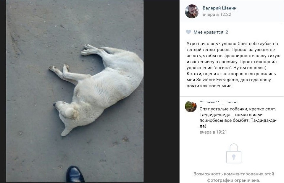 На протяжении многих лет на фейковой странице в сети появлялись фото мертвых животных Фото: СОЦСЕТИ
