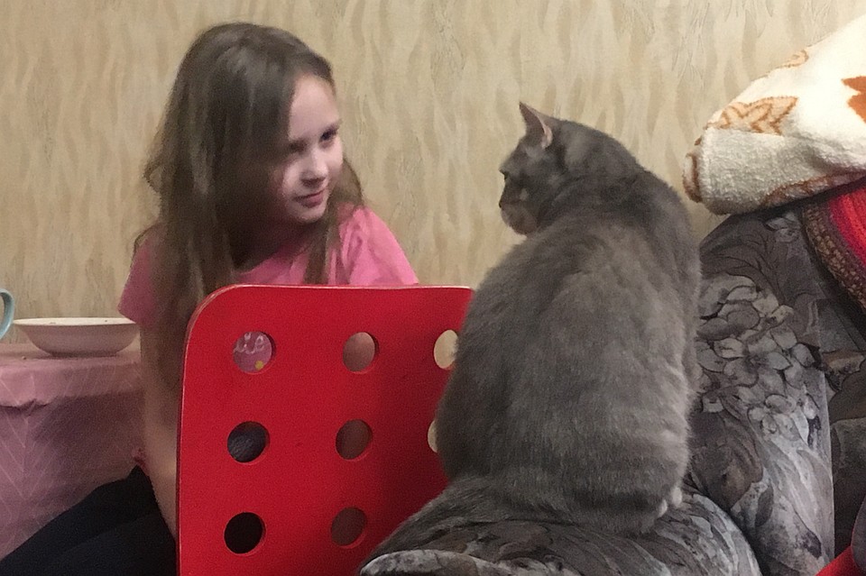 Альмена играет в гляделки с котом Фото: Андрей МОСКВИЧЕВ