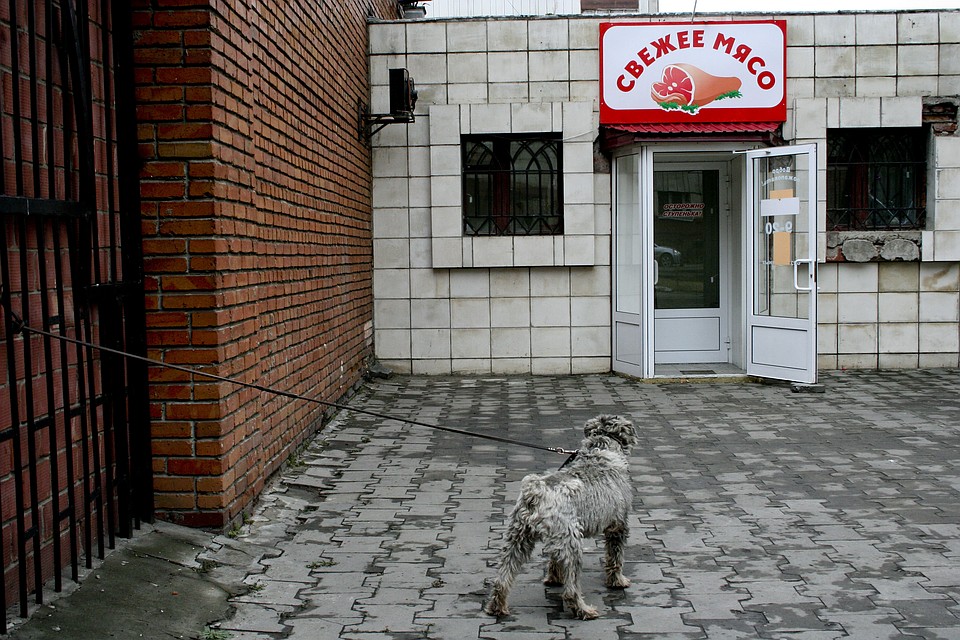 Собака ждет хозяина у мясной лавки. Фото: Олег УКЛАДОВ