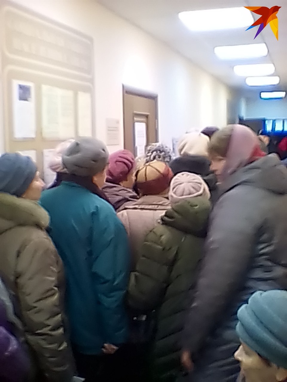 В тверском городском Центре социальной поддержки населения 20 января 2020 года. Фото: Эльвира ХРАПОВИЦКАЯ