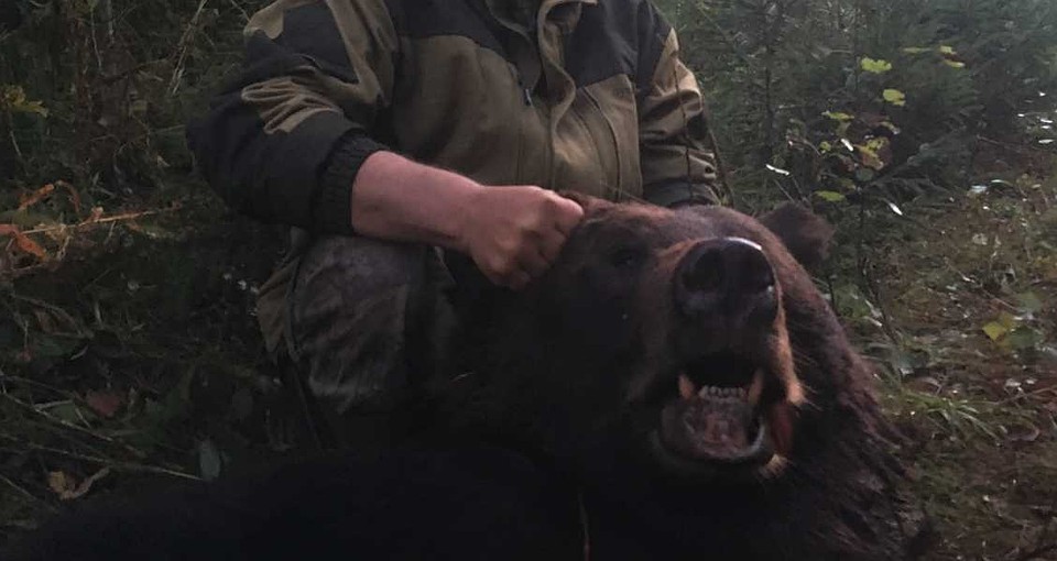 Вот про этого зверя рассказывает охотник