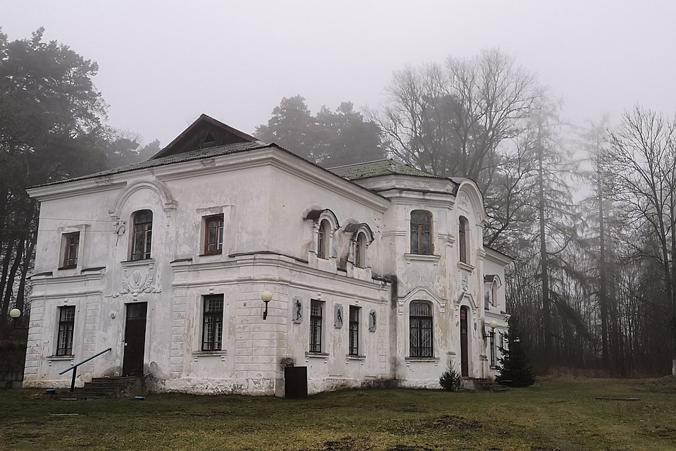Усадьба Альбертин. Следы былой роскоши. Фото: Раиса ЮДИНА